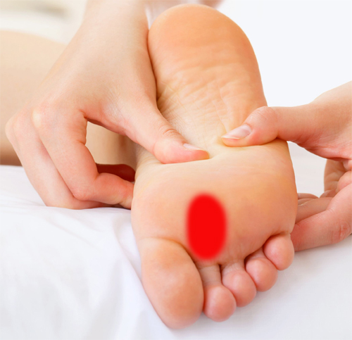 Tête métatarsienne